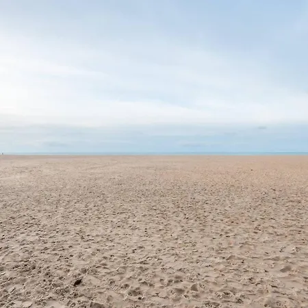 New Flat On A Top-level Location For 6 Ostend