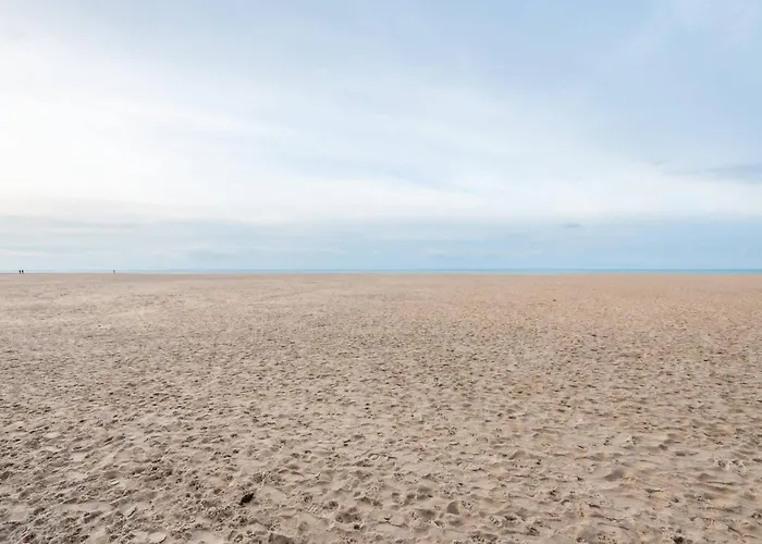 New Flat On A Top-level Location For 6 Oostende